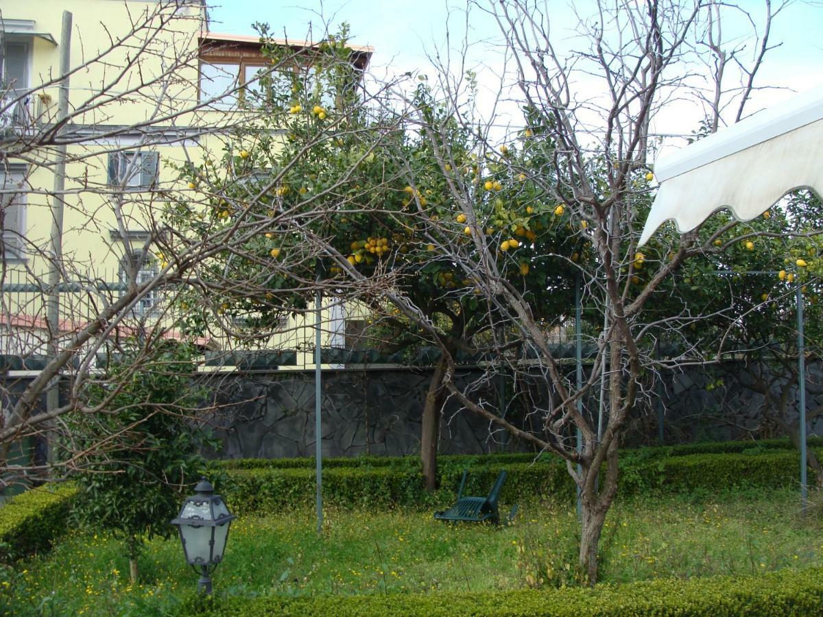 Villa Luisa 波蒂奇 外观 照片